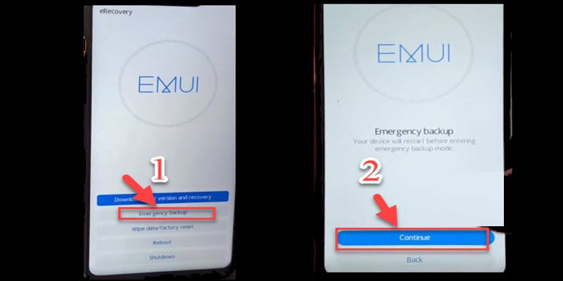 Choose Emergency backup then Continue.
